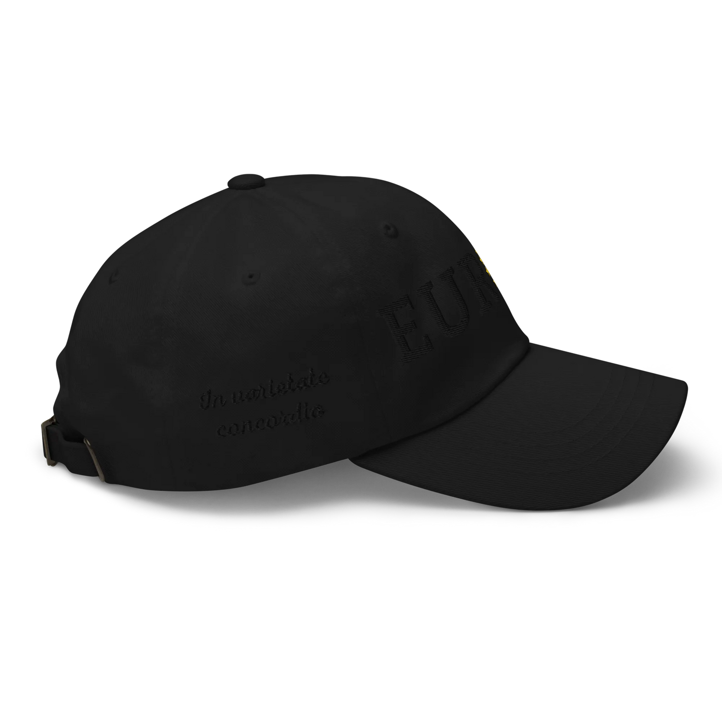 Monochrome Black "EUROPE" Cap with "Show the Love for EU" emblem in full color Right View