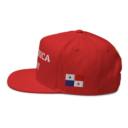 Red anti-MAGA hat with National Flag of Panama Left View